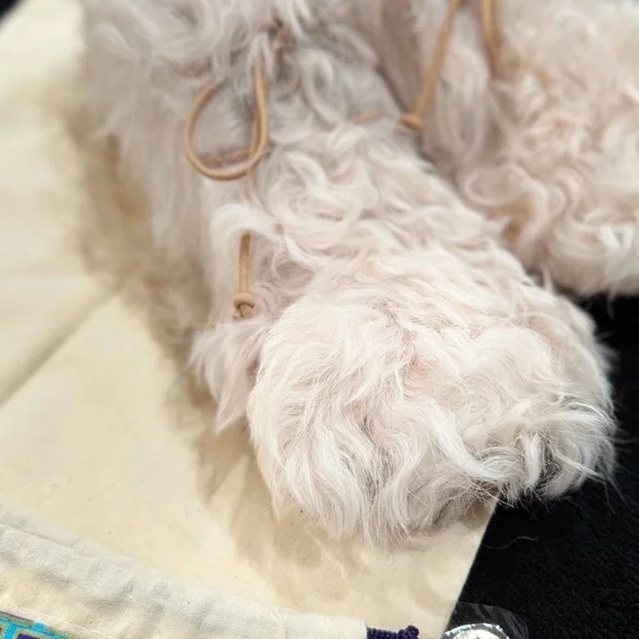 TORY BURCH Fur Mongolian Shearling Evan Botties